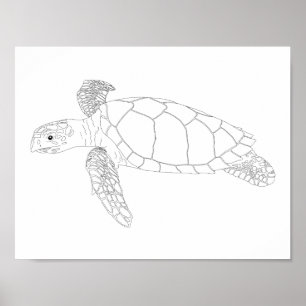 Seaturtle Adult Coloring Poster