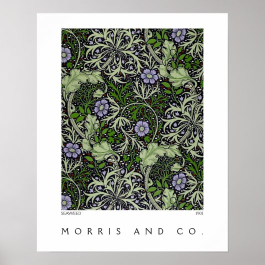 Seaweed Abstract Pattern Morris Co Poster (Voorkant)