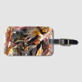 SEAWEED BAGAGELABEL (Voorkant (horizontaal))