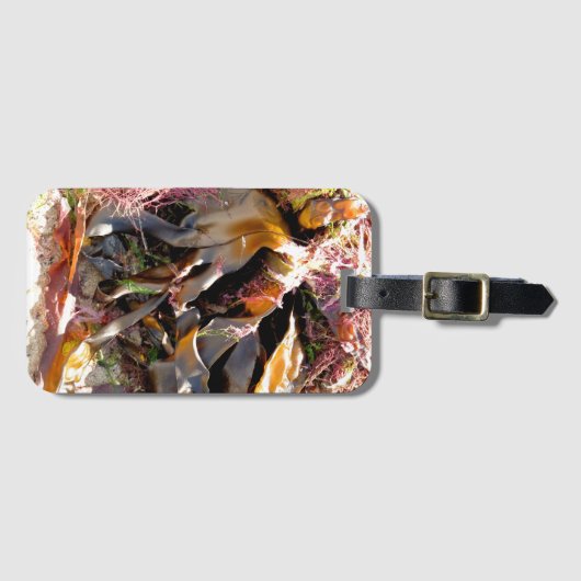 SEAWEED BAGAGELABEL (Voorkant (horizontaal))