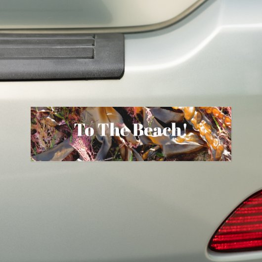 SEAWEED BUMPERSTICKER (Op auto)