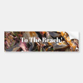SEAWEED BUMPERSTICKER (Voorkant)