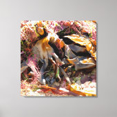 SEAWEED CANVAS AFDRUK (Voorkant)