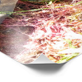 SEAWEED FOTO AFDRUK (Hoek)