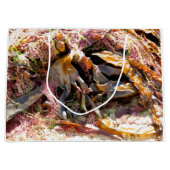 SEAWEED GROOT CADEAUZAKJE (Voorkant)