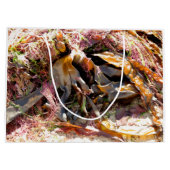 SEAWEED GROOT CADEAUZAKJE (Achterkant)