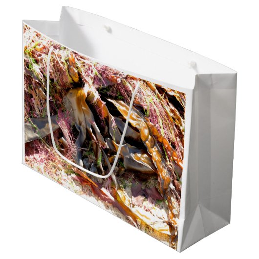 SEAWEED GROOT CADEAUZAKJE (Voorkant Gekanteld)