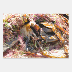 SEAWEED INPAKPAPIER VEL