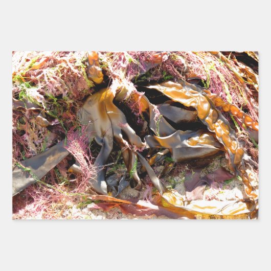 SEAWEED INPAKPAPIER VEL (Voorkant)