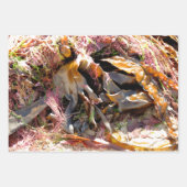 SEAWEED INPAKPAPIER VEL (Voorkant 3)