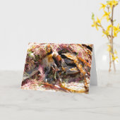 SEAWEED KAART (Gele Bloem)