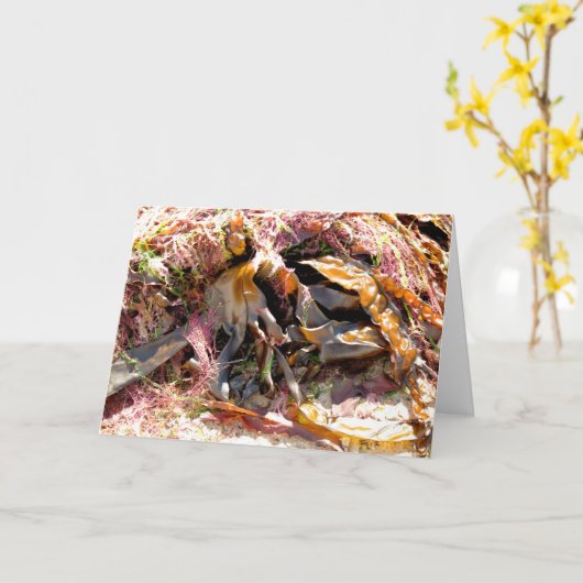 SEAWEED KAART (Gele Bloem)