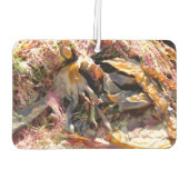 SEAWEED LUCHTVERFRISSER (Achterkant)