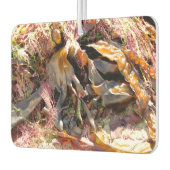 SEAWEED LUCHTVERFRISSER (Links)