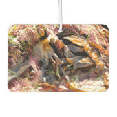 SEAWEED LUCHTVERFRISSER (Voorkant)