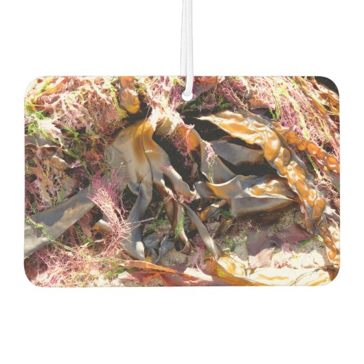 SEAWEED LUCHTVERFRISSER (Voorkant)