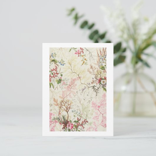 Seaweed-ontwerp voor zijde (m/v op papier) briefkaart (Staand voorkant)