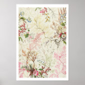 Seaweed-ontwerp voor zijde (m/v op papier) poster (Voorkant)