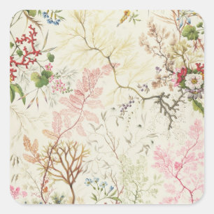 Seaweed-ontwerp voor zijde (m/v op papier) vierkante sticker