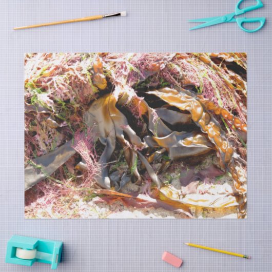 SEAWEED TISSUEPAPIER (Craft)