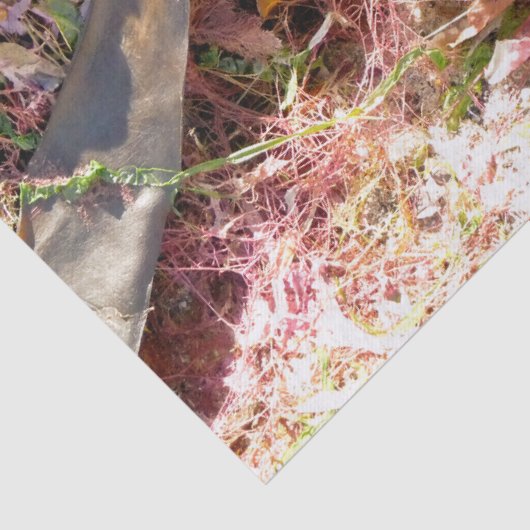 SEAWEED TISSUEPAPIER (Detail)