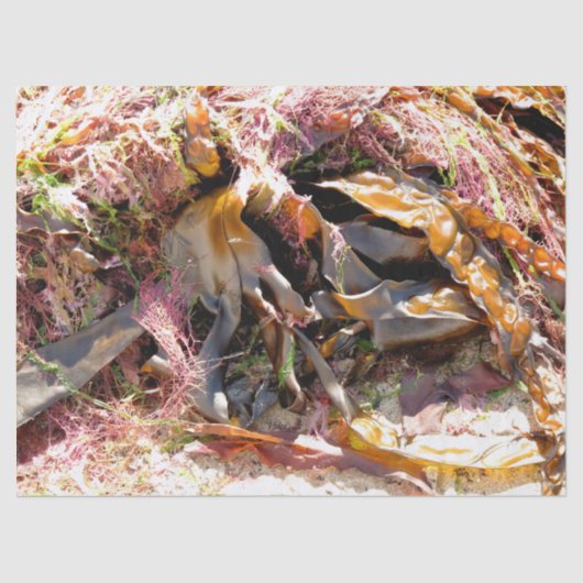 SEAWEED TISSUEPAPIER (Voorkant)