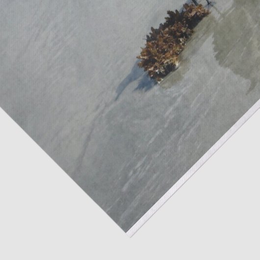 Seaweed Tissuepapier (Detail)