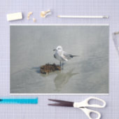 Seaweed Tissuepapier (Craft)