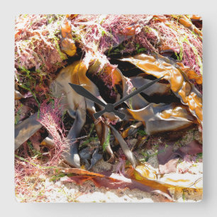 SEAWEED VIERKANTE KLOK