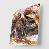 SEAWEED VIERKANTE KLOK (Hoek)