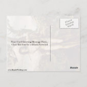 Sebastian en Madonna met heiligen van Sodoma Briefkaart (Achterkant)