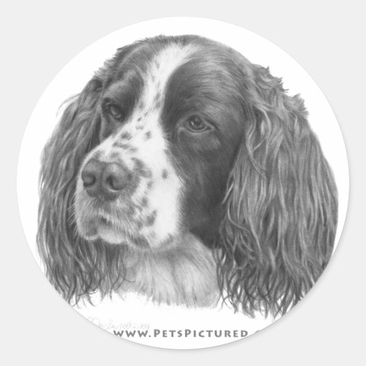 Sebastian, English Springer Spaniel Ronde Sticker (Voorkant)