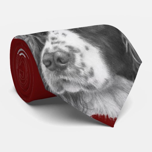 Sebastian, English Springer Spaniel Stropdas (Opgerold)