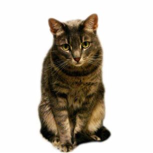 Sebastian Fotobeeldje Magneet