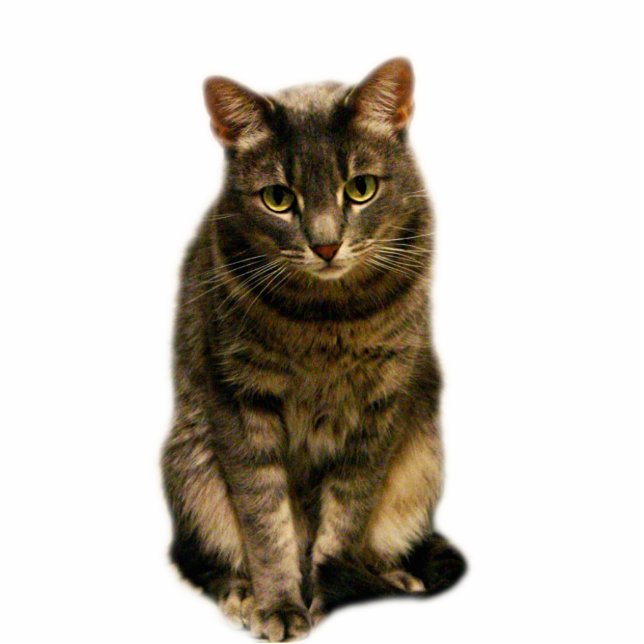 Sebastian Fotobeeldje Magneet (Voorkant)