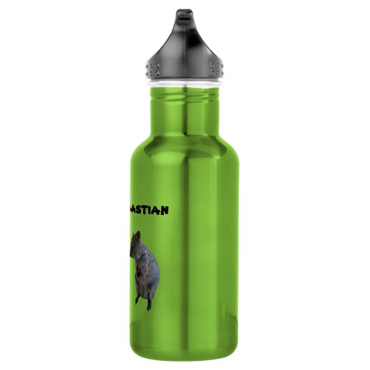 Sebastian Name with 2 Aussie Quokkas, Water Fles (Rechts)