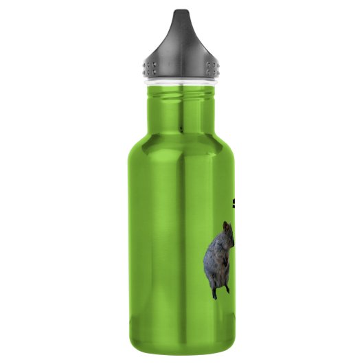 Sebastian Name with 2 Aussie Quokkas, Water Fles (Links)