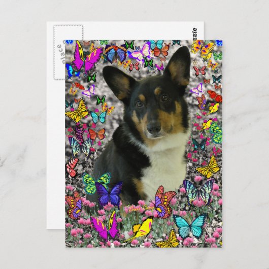 Sebastian the Welsh Corgi in Butterflies Briefkaart (Voorkant / Achterkant)