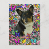 Sebastian the Welsh Corgi in Butterflies Briefkaart (Voorkant)