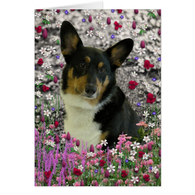 Sebastian the Welsh Corgi in Flowers (Voorkant)