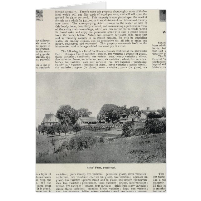 Sebastopol, Californië (Voorkant)