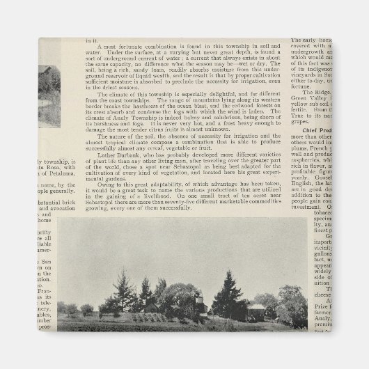 Sebastopol, Californië Magneet (Voorkant)