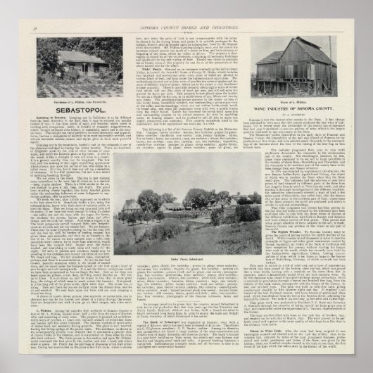 Sebastopol, Californië Poster (Voorkant)