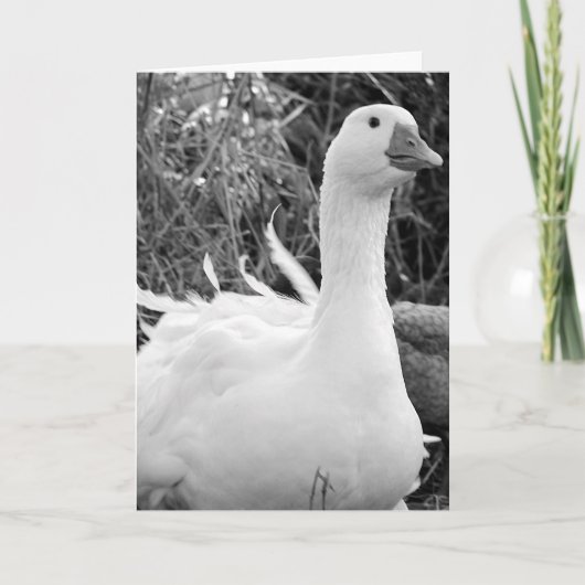 Sebastopol Goose Kaart (Voorkant)