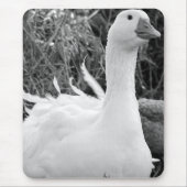 Sebastopol Goose Muismat (Voorkant)