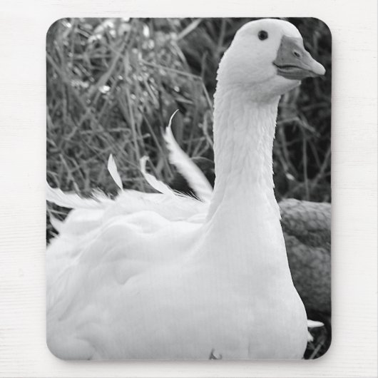 Sebastopol Goose Muismat (Voorkant)
