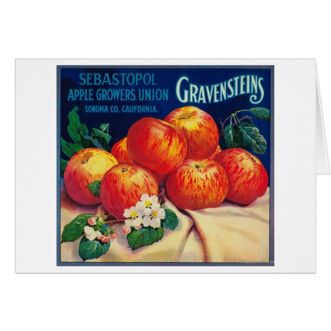 Sebastopol Gravensteins Apple LabelSonoma, CA (Voorkant Horizontaal)
