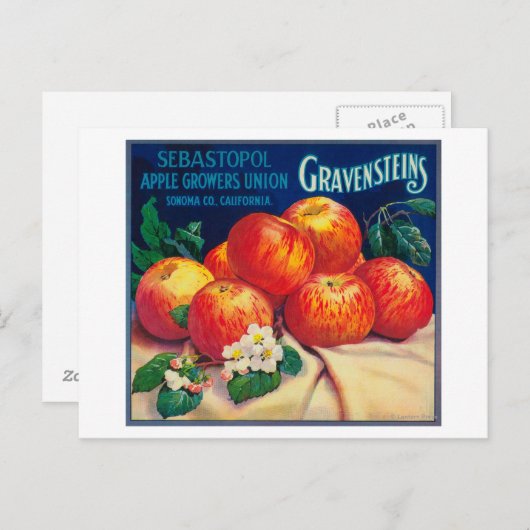 Sebastopol Gravensteins Apple LabelSonoma, CA Briefkaart (Voorkant / Achterkant)