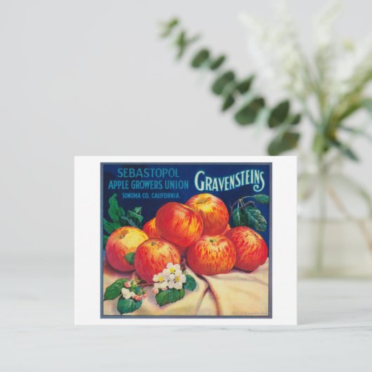 Sebastopol Gravensteins Apple LabelSonoma, CA Briefkaart (Staand voorkant)