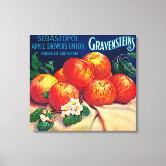 Sebastopol Gravensteins Apple LabelSonoma, CA Canvas Afdruk (Voorkant)